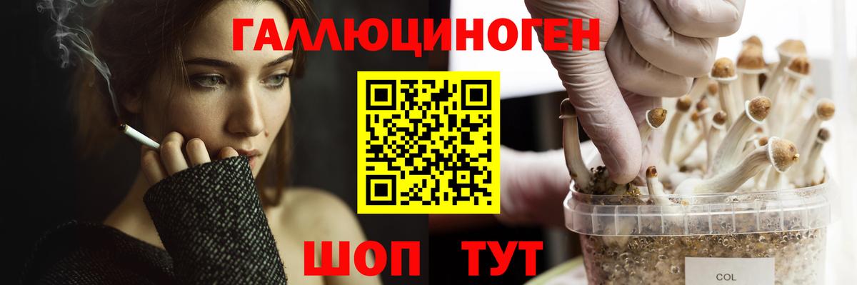 Галлюциногенные грибы прущие грибы  Галлюциногенные грибы ЛСД  Воркута  Вход с VPN 